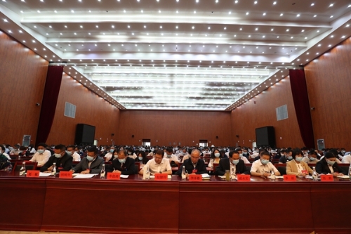QMF_6256